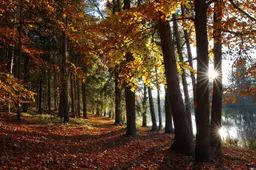 Electric now & ever: Thermo King’s versatile, future-ready transport refrigeration solutions at Solutrans 2025