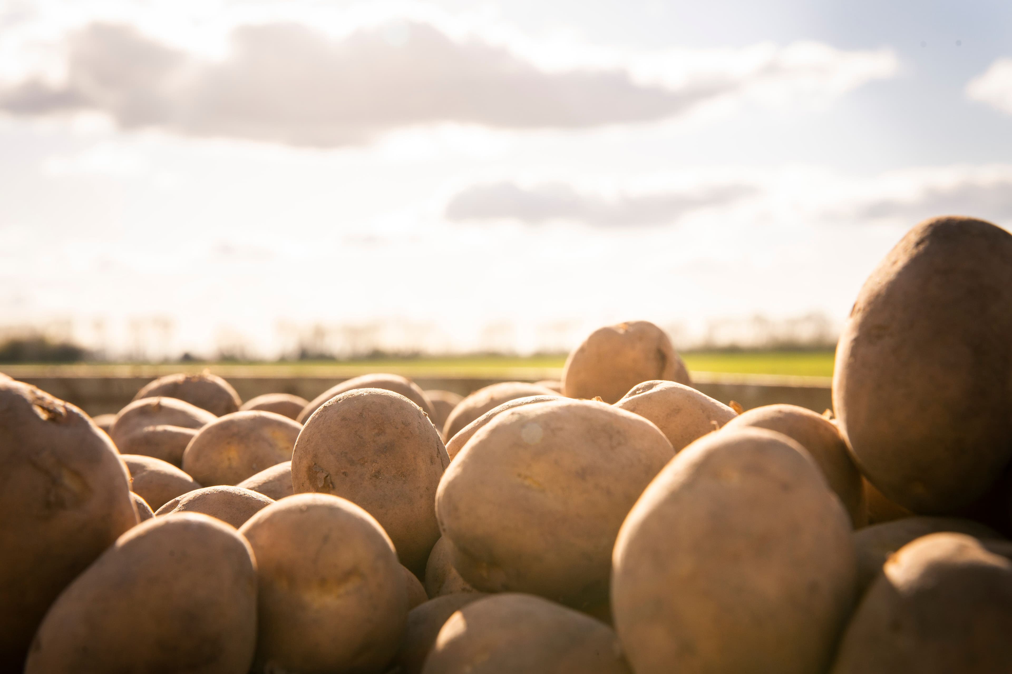 Half of UK farmers have considered leaving the sector in the last year due to financial pressures