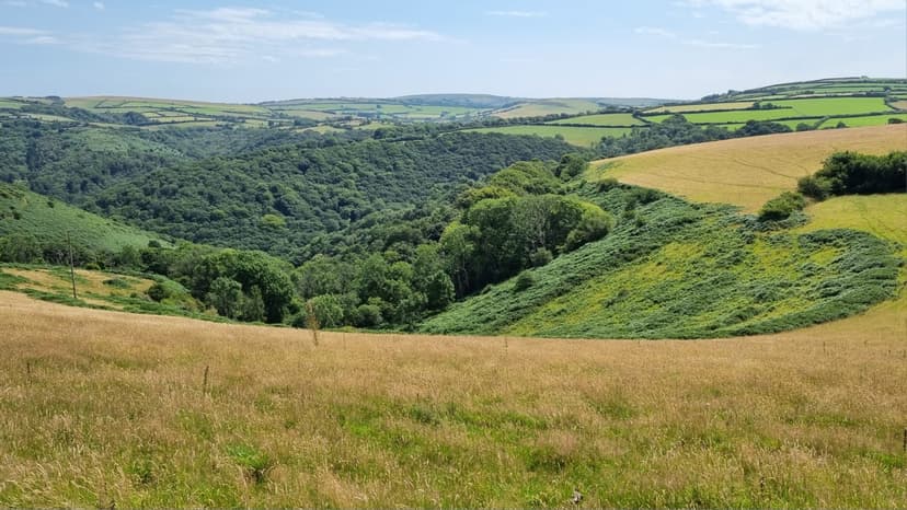 End of de minimis is maximising complexity and cost for UK retailers